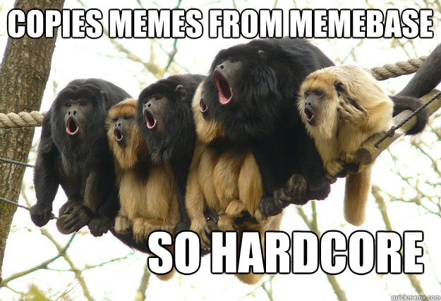 So Hardcore copies memes from memebase  So Hardcore Monkeys