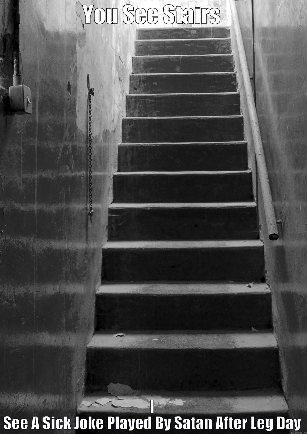 stairs suck - YOU SEE STAIRS I SEE A SICK JOKE PLAYED BY SATAN AFTER LEG DAY Misc