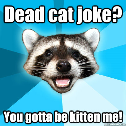 Dead cat joke?  You gotta be kitten me! - Dead cat joke?  You gotta be kitten me!  Lame Pun Coon