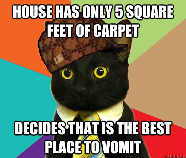 HOUSE HAS ONLY 5 SQUARE FEET OF CARPET DECIDES THAT IS THE BEST PLACE TO VOMIT  Scumbag Cat