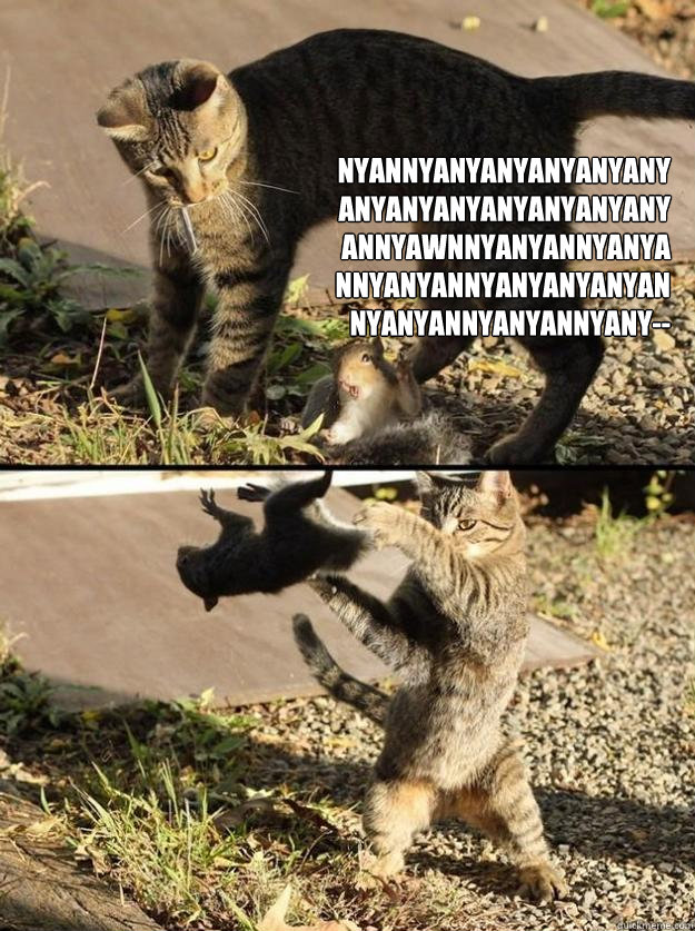 NYANNYANYANYANYANYANYANYANYANYANYANYANYANYANNYAWNNYANYANNYANYANNYANYANNYANYANYANYANNYANYANNYANYANNYANY--  Annoying Squirrel