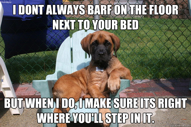 I DONT ALWAYS BARF ON THE FLOOR NEXT TO YOUR BED BUT WHEN I DO, I MAKE SURE ITS RIGHT WHERE YOU'LL STEP IN IT.  The Most Interesting Dog in the World