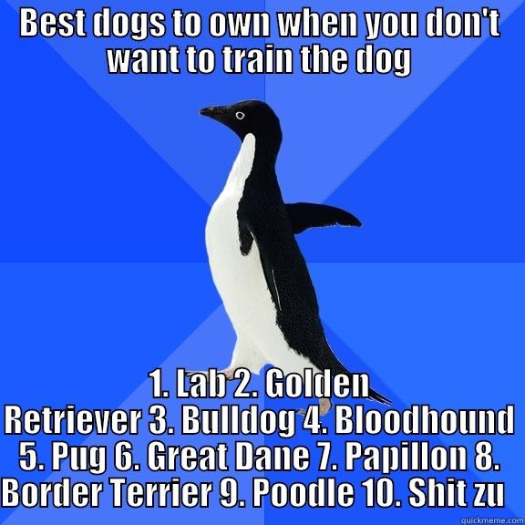 BEST DOGS TO OWN WHEN YOU DON'T WANT TO TRAIN THE DOG 1. LAB 2. GOLDEN RETRIEVER 3. BULLDOG 4. BLOODHOUND 5. PUG 6. GREAT DANE 7. PAPILLON 8. BORDER TERRIER 9. POODLE 10. SHIT ZU   Socially Awkward Penguin