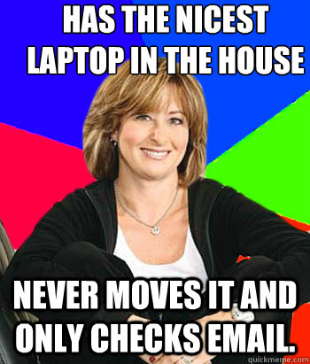 has the nicest laptop in the house never moves it and only checks email.  Sheltering Suburban Mom
