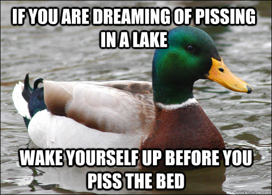 If you are dreaming of pissing in a lake wake yourself up before you piss the bed  Actual Advice Mallard