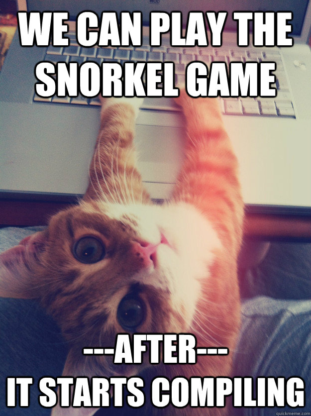 We can play the snorkel game ---AFTER---                     it starts compiling  Programmer Cat