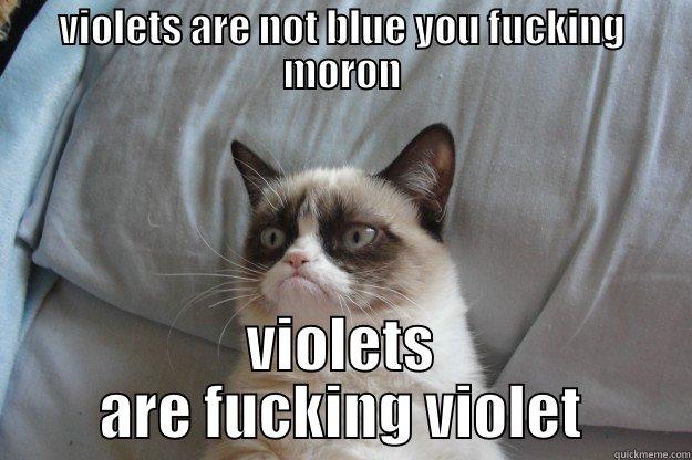 VIOLETS ARE NOT BLUE YOU FUCKING MORON VIOLETS ARE FUCKING VIOLET Grumpy Cat
