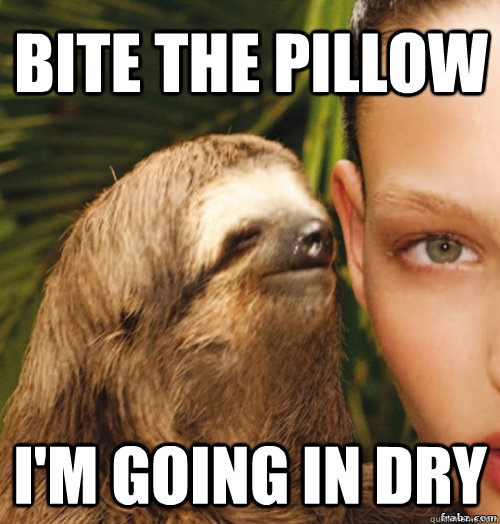 Bite the pillow I'm going in dry  rape sloth