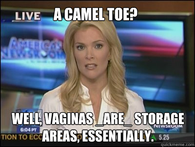 A camel toe? Well, Vaginas _are_ storage areas, essentially.  Megyn Kelly