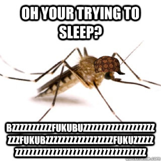 oh your trying to sleep? bzzzzzzzzzzfukubuzzzzzzzzzzzzzzzzzzzzzfukubzzzzzzzzzzzzzzzzzfukuzzzzzzzzzzzzzzzzzzzzzzzzzzzzzzzzzzzzzz  Scumbag Mosquito