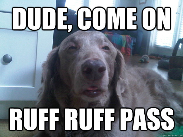 Dude, come on  RUFF RUFF PASS - Dude, come on  RUFF RUFF PASS  10 Dog