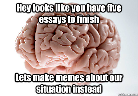 Hey looks like you have five essays to finish Lets make memes about our situation instead   Scumbag Brain
