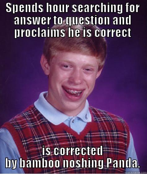 SPENDS HOUR SEARCHING FOR ANSWER TO QUESTION AND PROCLAIMS HE IS CORRECT IS CORRECTED BY BAMBOO NOSHING PANDA. Bad Luck Brian
