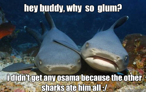 hey buddy, why  so  glum? i didn't get any osama because the other sharks ate him all :/  Compassionate Shark Friend