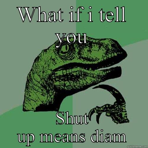 WHAT IF I TELL YOU SHUT UP MEANS DIAM Philosoraptor