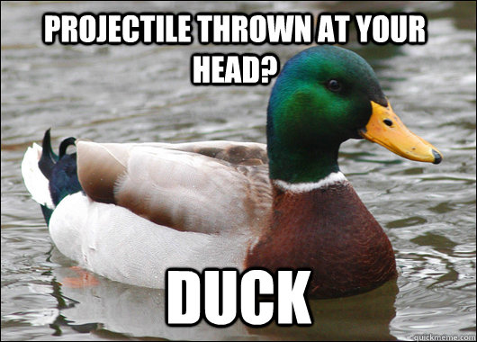 Projectile thrown at your head? DUCK  Actual Advice Mallard