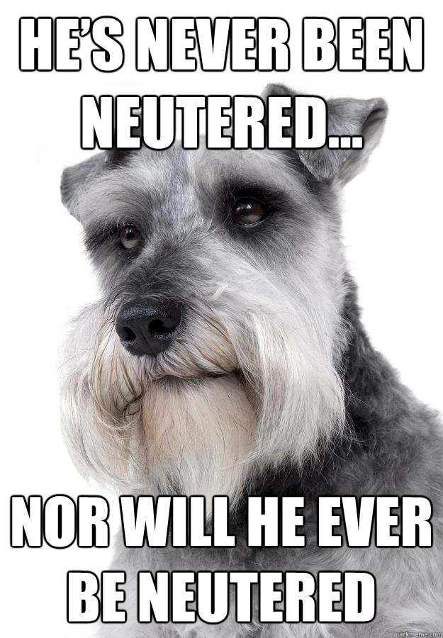 He’s never been neutered... nor will he ever be neutered - The Most ...