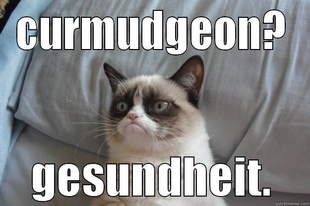 CURMUDGEON? GESUNDHEIT. Grumpy Cat