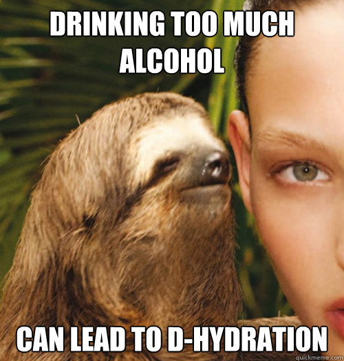 DRinking too much alcohol can lead to d-hydration - DRinking too much alcohol can lead to d-hydration  Whispering Sloth