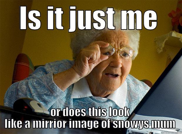 IS IT JUST ME OR DOES THIS LOOK LIKE A MIRRIOR IMAGE OF SNOWYS MUM Grandma finds the Internet