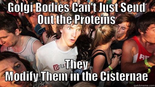 GOLGI BODIES CAN'T JUST SEND OUT THE PROTEINS THEY MODIFY THEM IN THE CISTERNAE Sudden Clarity Clarence
