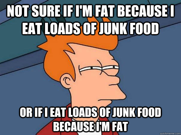 Not sure if I'm Fat because I eat loads of junk food Or if I eat loads of junk food because I'm Fat  Futurama Fry