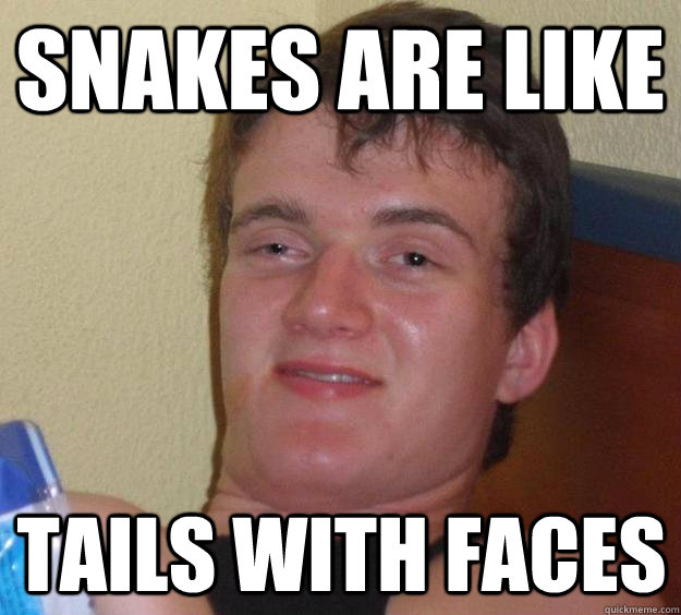Snakes are like tails with faces  10 Guy