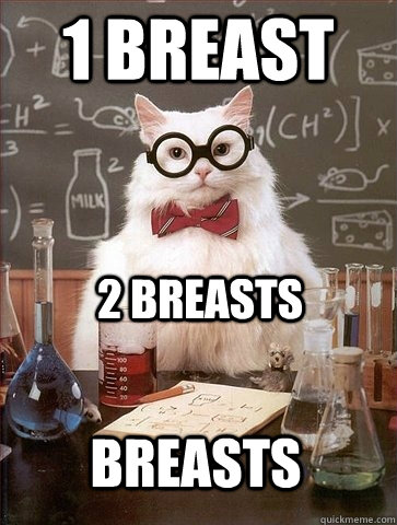 1 bREAST 2 BREASTS BREASTS  Chemistry Cat