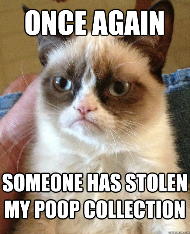 once again someone has stolen my poop collection  Grumpy Cat