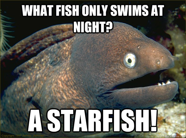 what fish only swims at night? A starfish! - what fish only swims at night? A starfish!  Bad Joke Eel