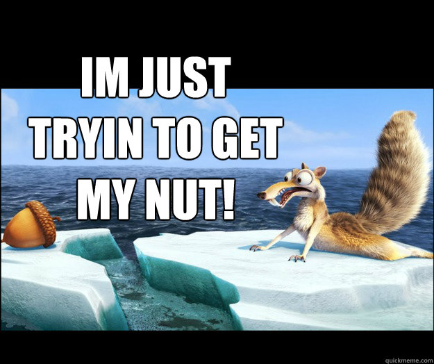 im just tryin to get my nut!  squirrel nut
