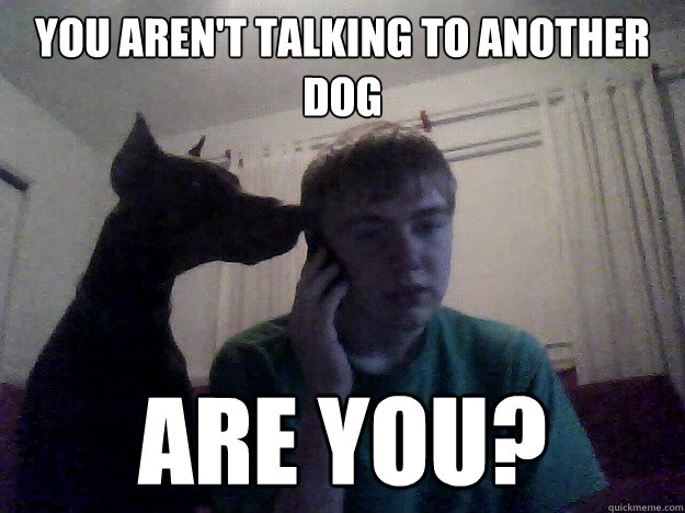 You aren't talking to another dog Are you?  Overly Attached Dog