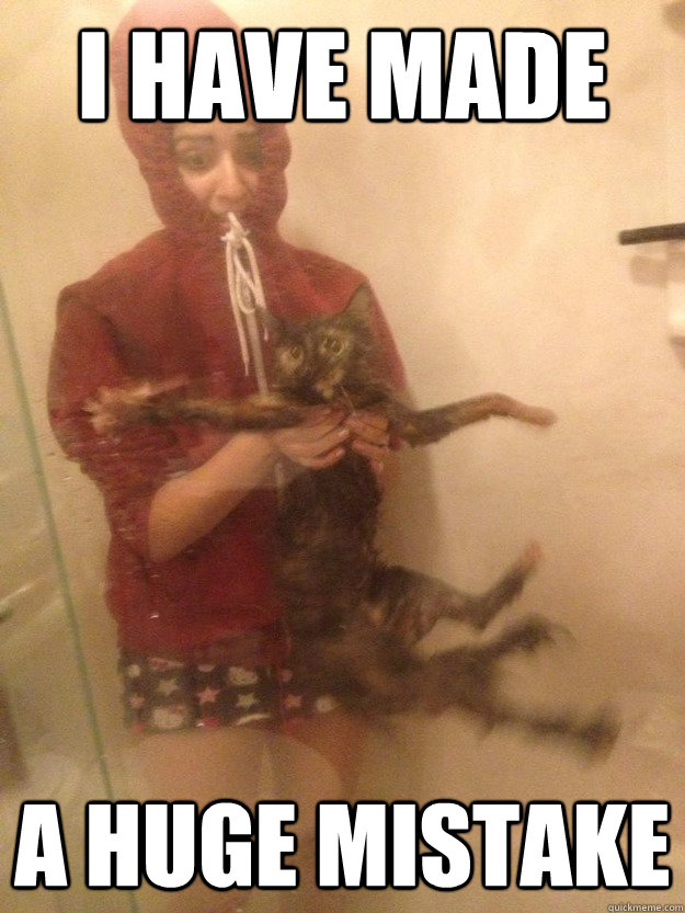 I have made a huge mistake  cat bath girl