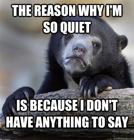 The reason why I'm so quiet is because I don't have anything to say  Confession Bear