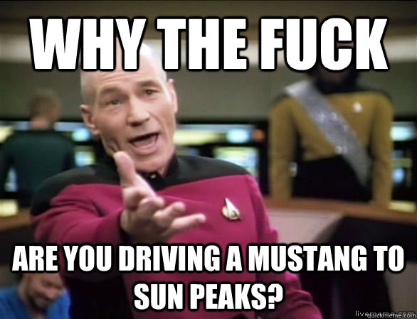 Why the fuck are you driving a mustang to sun peaks?  Annoyed Picard HD