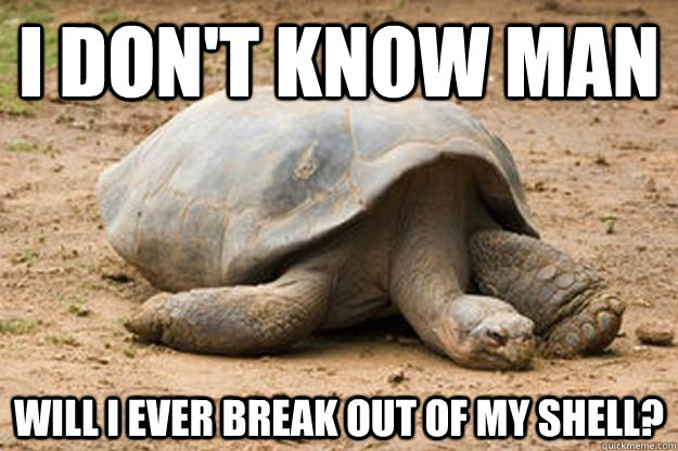 I don't know man will i ever break out of my shell?  Depression Turtle