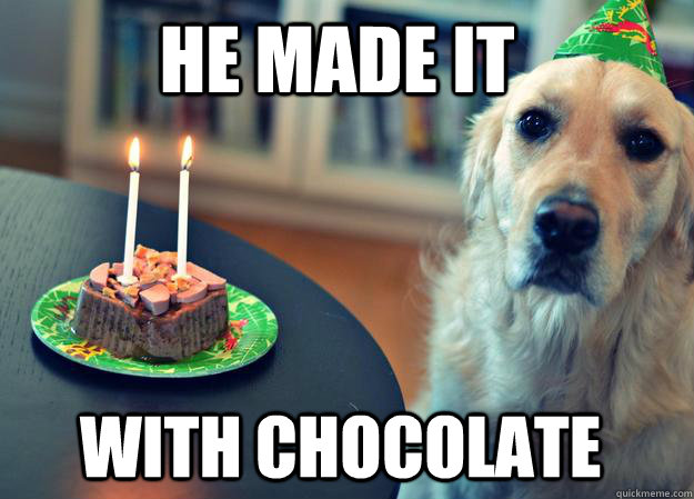 He made it  with chocolate  Sad Birthday Dog