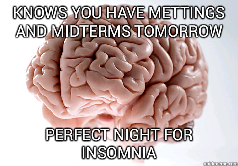knows you have mettings and midterms tomorrow perfect night for insomnia  Scumbag Brain