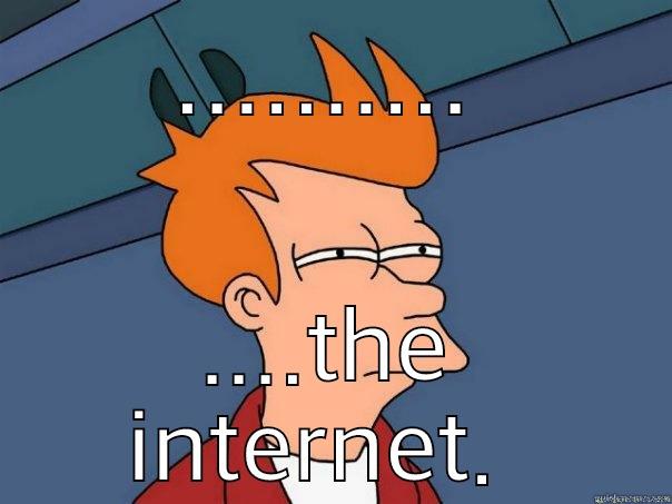 .......... ....THE INTERNET.  Futurama Fry