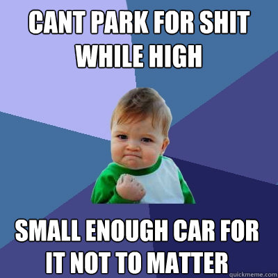 Cant Park for Shit while high Small enough car for it not to matter  Success Kid