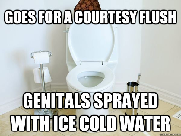 Goes for a courtesy flush Genitals sprayed with ice cold water - Goes for a courtesy flush Genitals sprayed with ice cold water  Scumbag Toilet