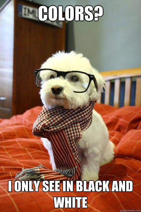 Colors? I only see in black and white  Hipster Dog