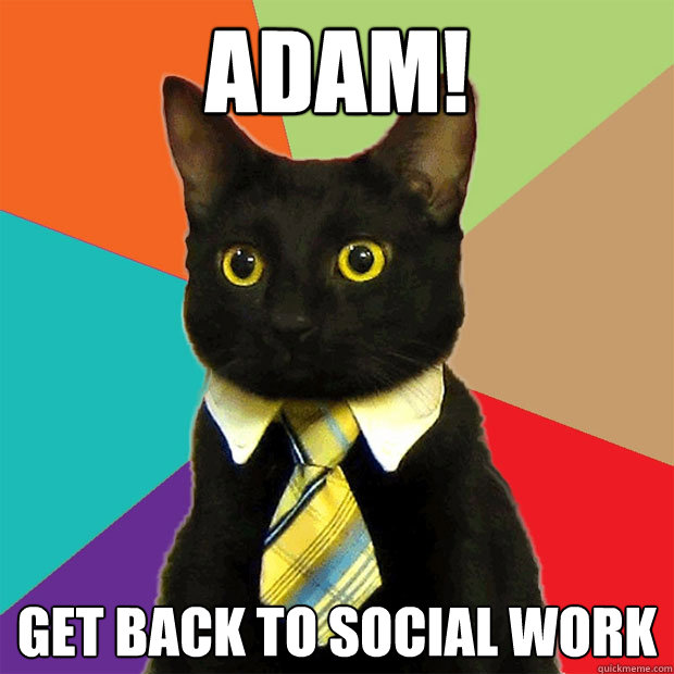 Adam! Get Back to Social Work  Business Cat