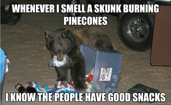 whenever i smell a skunk burning pinecones i know the people have good snacks - whenever i smell a skunk burning pinecones i know the people have good snacks  Food Snob Bear