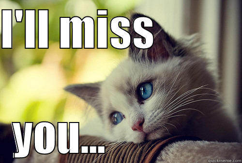 I'll miss you... - I'LL MISS           YOU...               First World Problems Cat