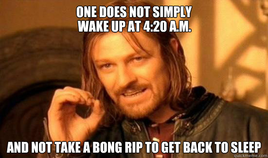One Does Not Simply And not take a bong rip to get back to sleep wake up at 4:20 A.M.  Boromir