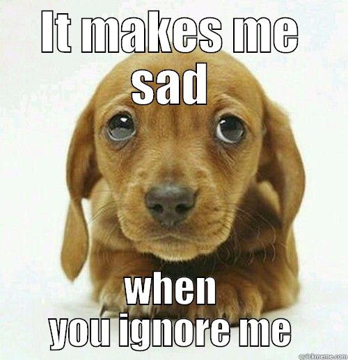 IT MAKES ME SAD WHEN YOU IGNORE ME Misc