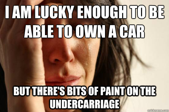I am lucky enough to be able to own a car but there's bits of paint on the undercarriage   First World Problems