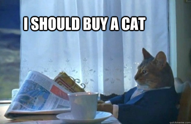 I should buy a cat  Sophisticated Cat