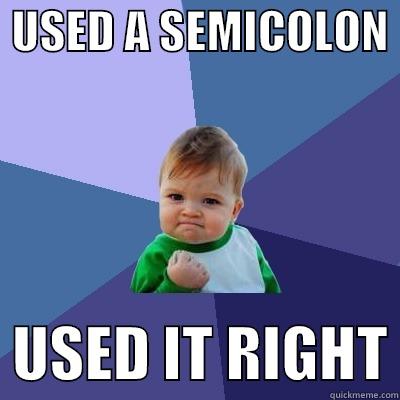  USED A SEMICOLON    USED IT RIGHT Success Kid